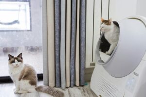 The Air Picks That Work Near Litter Boxes