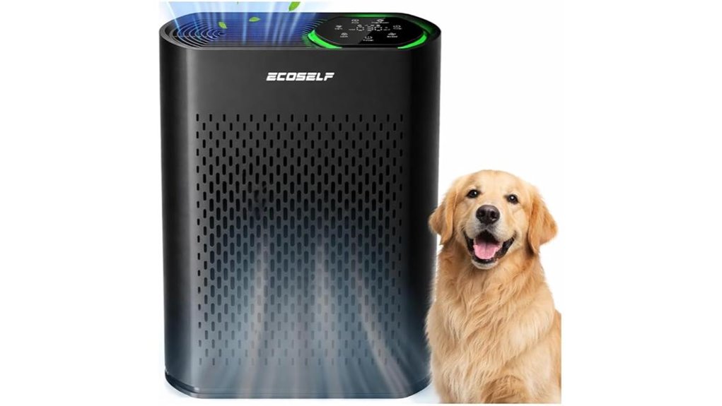 air purifier for large room