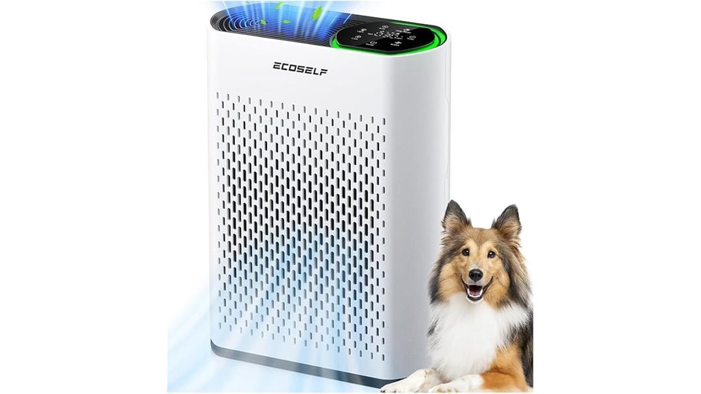 air purifier for large room
