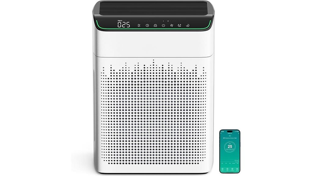 air purifier for large room
