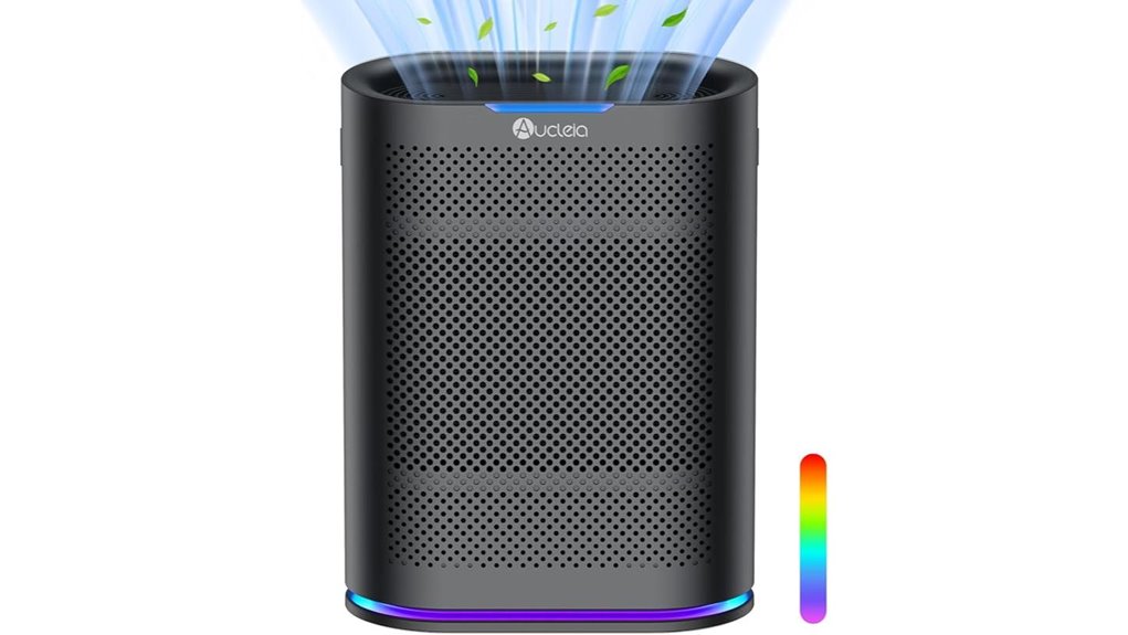 air purifier for large rooms