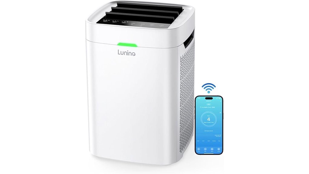 air purifier for large rooms