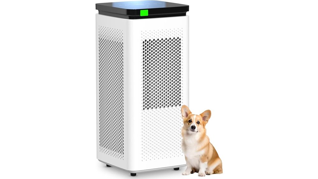air purifier for large rooms