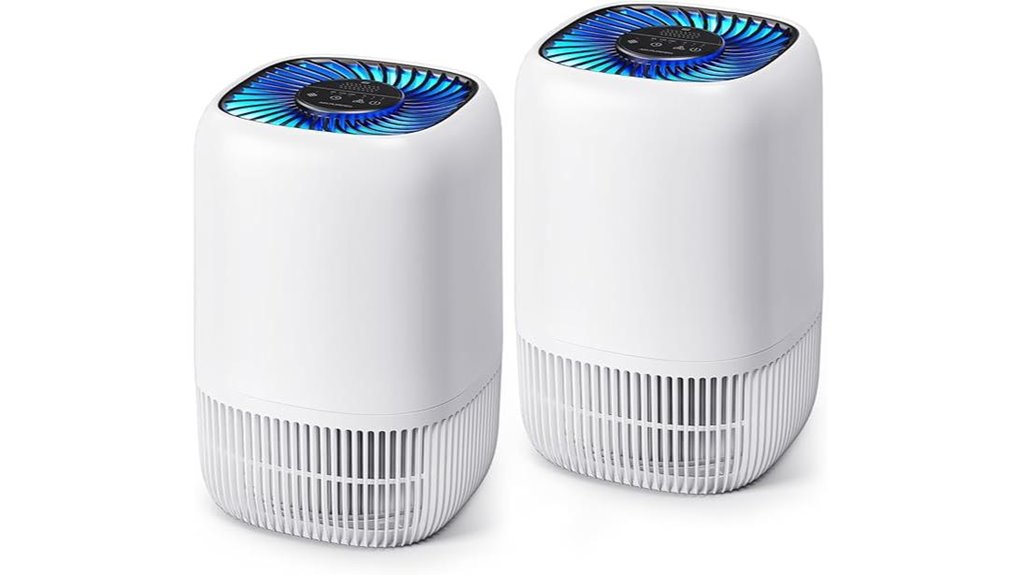 air purifier with h13 hepa