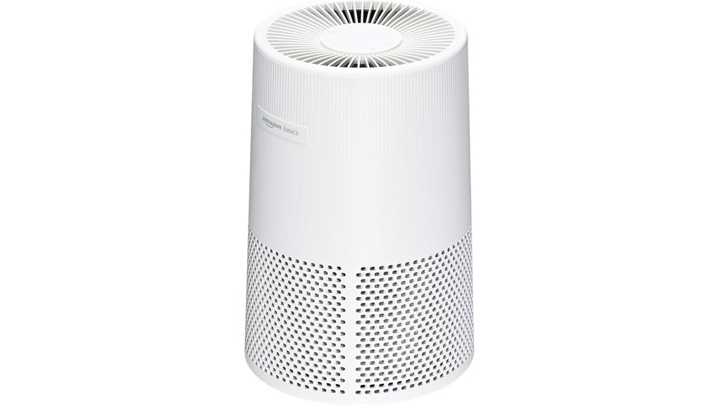 amazon basics air purifier with carbon