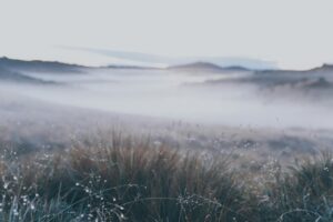 How to Keep Bedroom Air Comfortable During Allergy Season