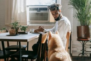 10 Best Air Purifiers for Small Homes with Pets in 2026