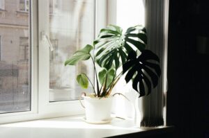 9 Best Air Cleaners for Apartment Corners in 2026