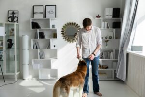 10 Best Bedroom Purifiers for Dog Odor in 2026