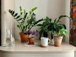 7 Best Purifiers for Tiny Rooms in 2026