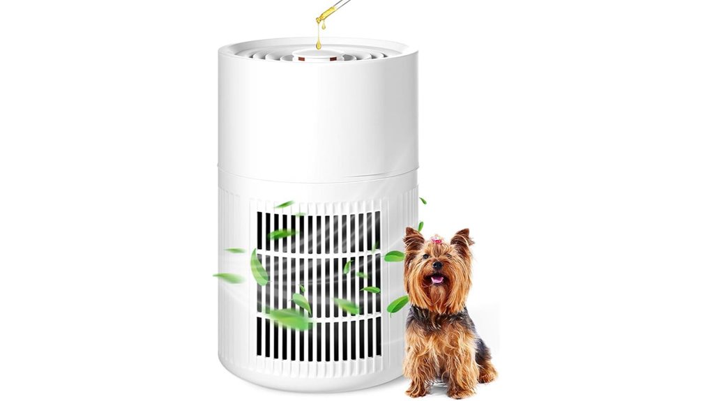 blossound 3 in 1 purifier filterbox
