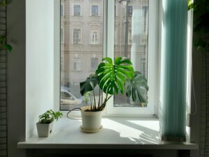 Why Compact Purifiers Work Better in Some Rooms