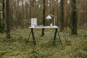 The Air Picks That Work on Desks and Dressers