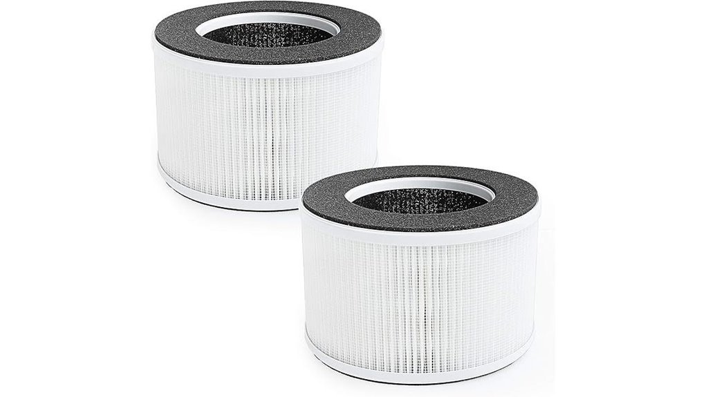 flintar hepa filters pair