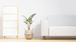 The Home Freshness Picks for Living Rooms