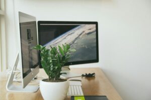 The Home Freshness Setup for Studio Apartments