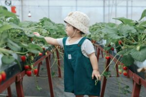 The Air Picks That Work in Nurseries