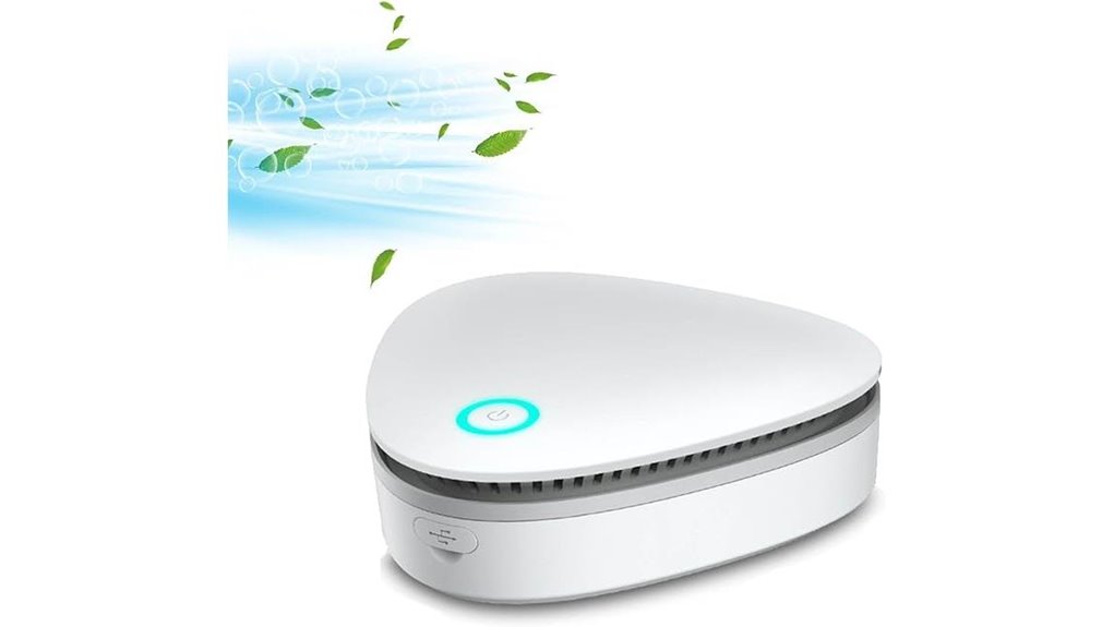 odor remover smoke smell purifier