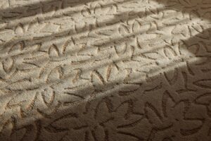 Why Pet Odors Stay in Carpeted Rooms