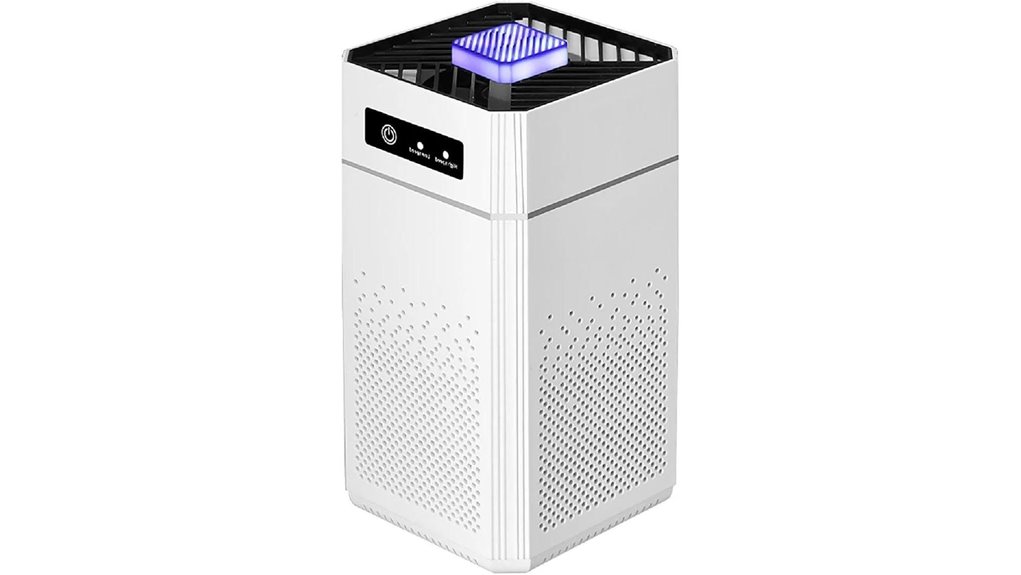 portable air purifier with filter