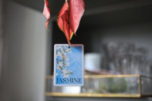 What Helps Small Rooms Feel Less Musty