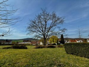 The Clean Air Habit That Helps During Spring