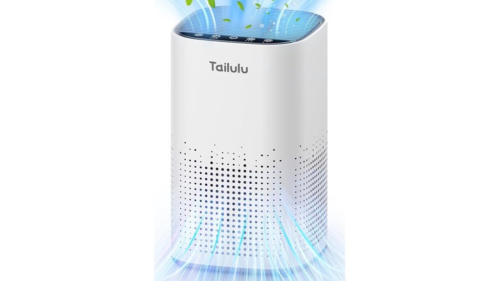 tailulu h13 hepa purifier