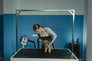 The Clean Air Tip That Helps With Pet Hair