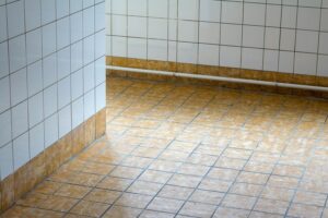 Why Tiny Rooms Trap Pet Hair
