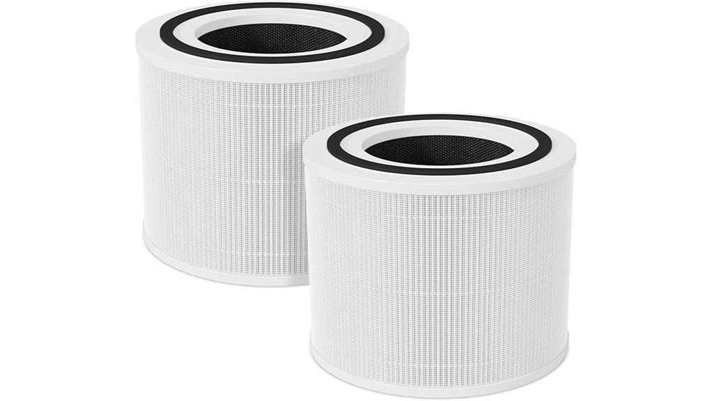 two pack replacement filter set